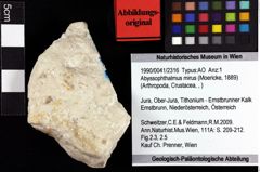 Foto (Objket + Etiketten) von Abyssophthalmus mirus (Moericke, 1889) 